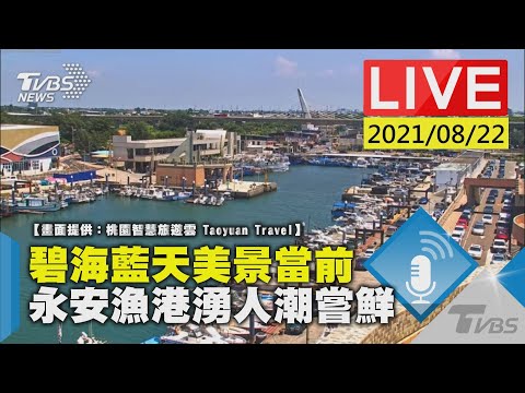 永安漁港湧人潮嘗鮮LIVE【畫面提供：桃園智慧旅遊雲 Taoyuan Travel】