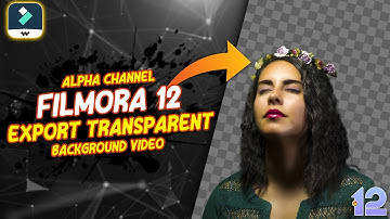 FILMORA 12 | HOW TO EXPORT TRANSPARENT BACKGROUND VIDEO | ALPHA CHANNEL FILMORA 12 TUTORIAL [HINDI]