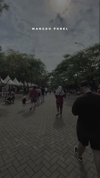 MANGKU PUREL - IPUNK RIMBA RAYA