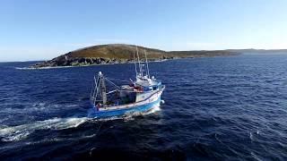 June 15th 2017 Bonavista Crab Boat. Cupid&#39;s Clipper. Part 2