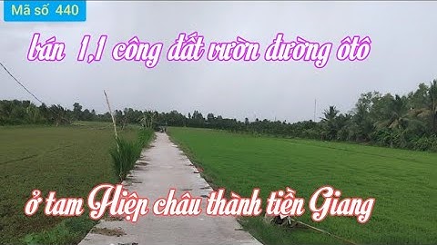 Bán đất vườn ở tam Hiệp châu Thành tiền Giang đường ôtô mã số  440