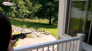 WP 20130819 002