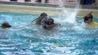 Navy EOD Dive Prep