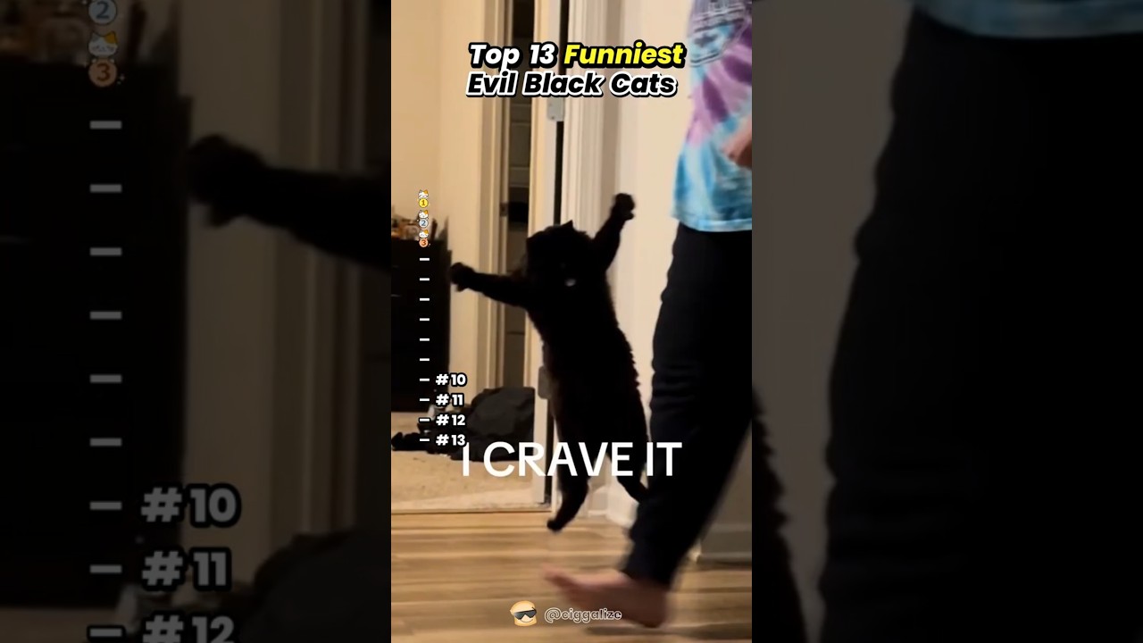 Original Title & Thumbnail