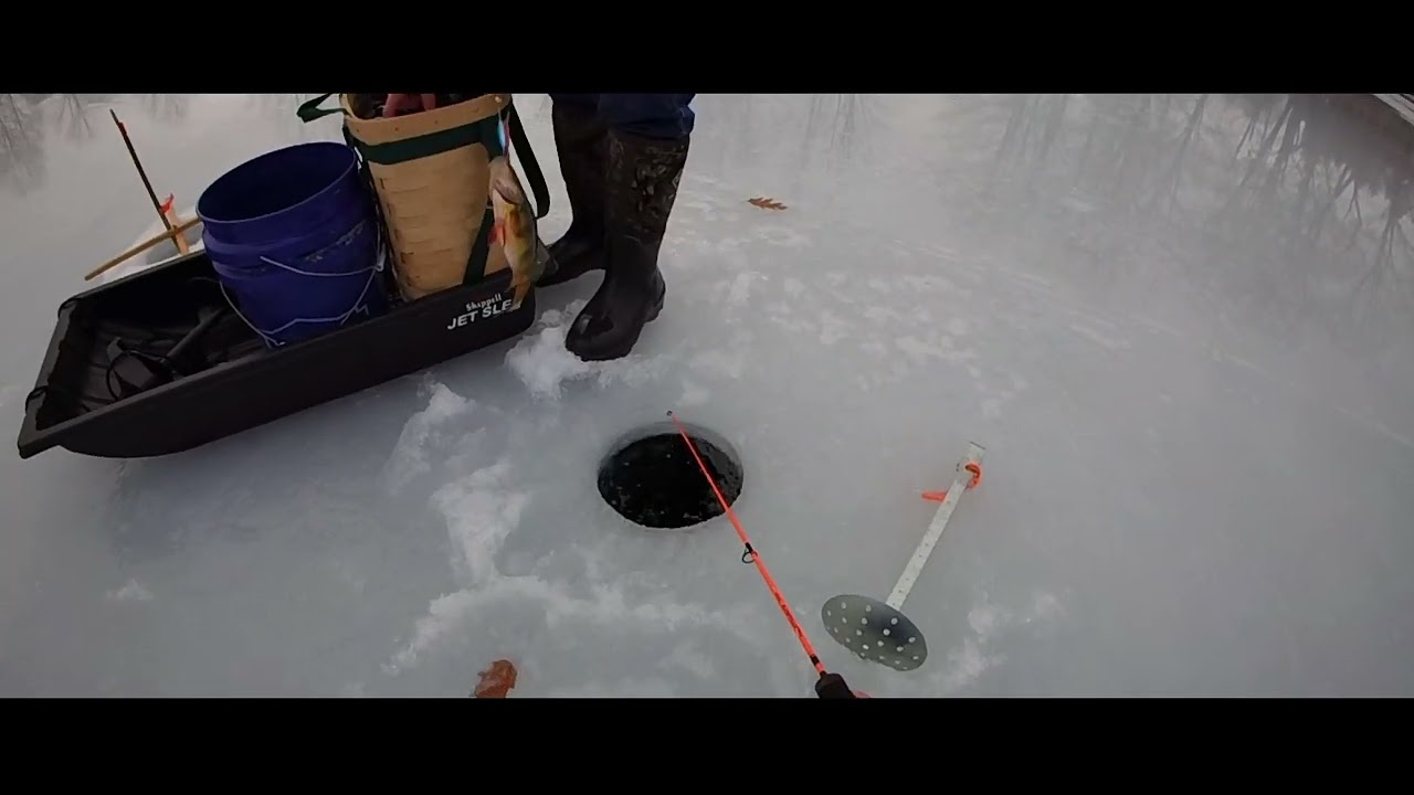 Nice day to get out and do some perch fishing!