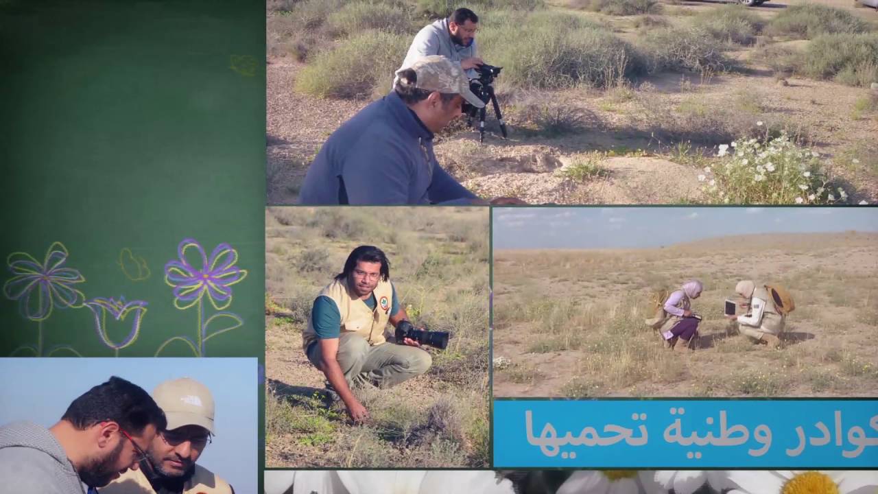 برنامج كل يوم نبتة حلقة نبات الحميض الحلقة التاسعة