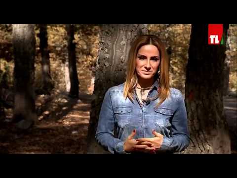 مشوار بلبنان فنيدق 