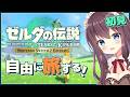 【ティアキン】寄り道大好き初見｜ドイブラン遺跡の攻略に大奮闘やコーガ様と龍の考察も楽しい【ゼルダの伝説ティアーズオブザキングダム 女性実況 VTuber なちゅモカ】151