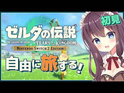【ティアキン】自由な世界で寄り道大好き！初見【ゼルダの伝説ティアーズオブザキングダム 女性実況 VTuber なちゅモカ】151