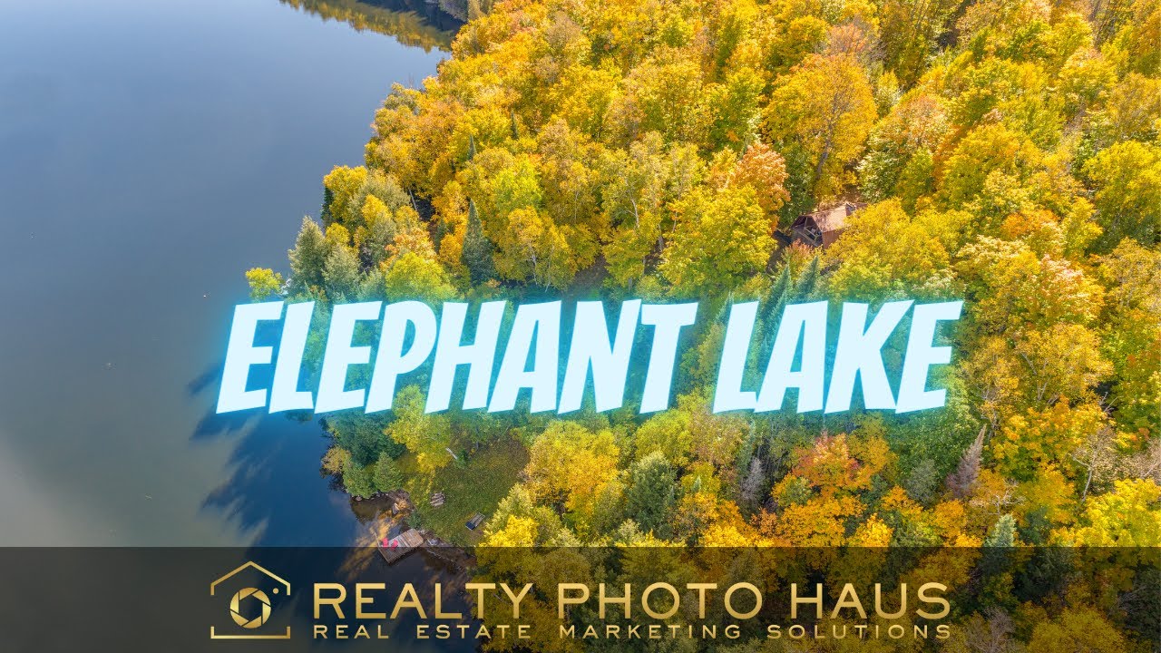 1422 Leafield Lake Drive, Highland Grove YouTube