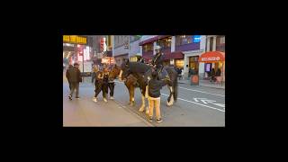H-D Fat Boy: NYC Night Test Drive | Manhattan | NYC | USA #shorts