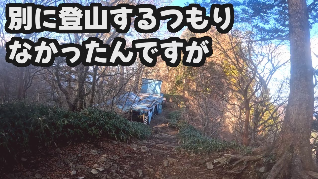 「石鎚山」登山道をちょっと歩いて帰るつもりだったけど時間があったので行けるとこまで行ってみた