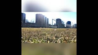 Play Football App - get together and play! screenshot 3