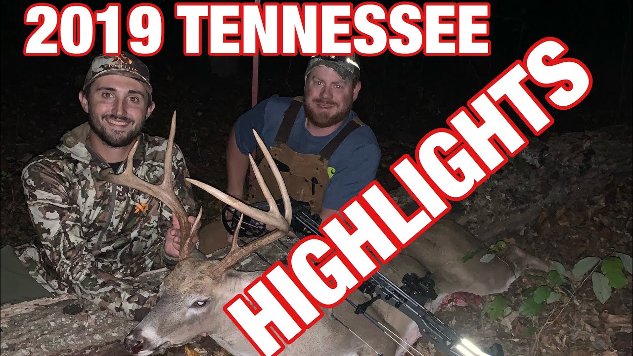 2019 Tennessee Hunting Season in 10 MINUTES HIGHLIGHT REEL YouTube