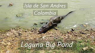 Laguna Big Pond | San Andres Island | Colombia