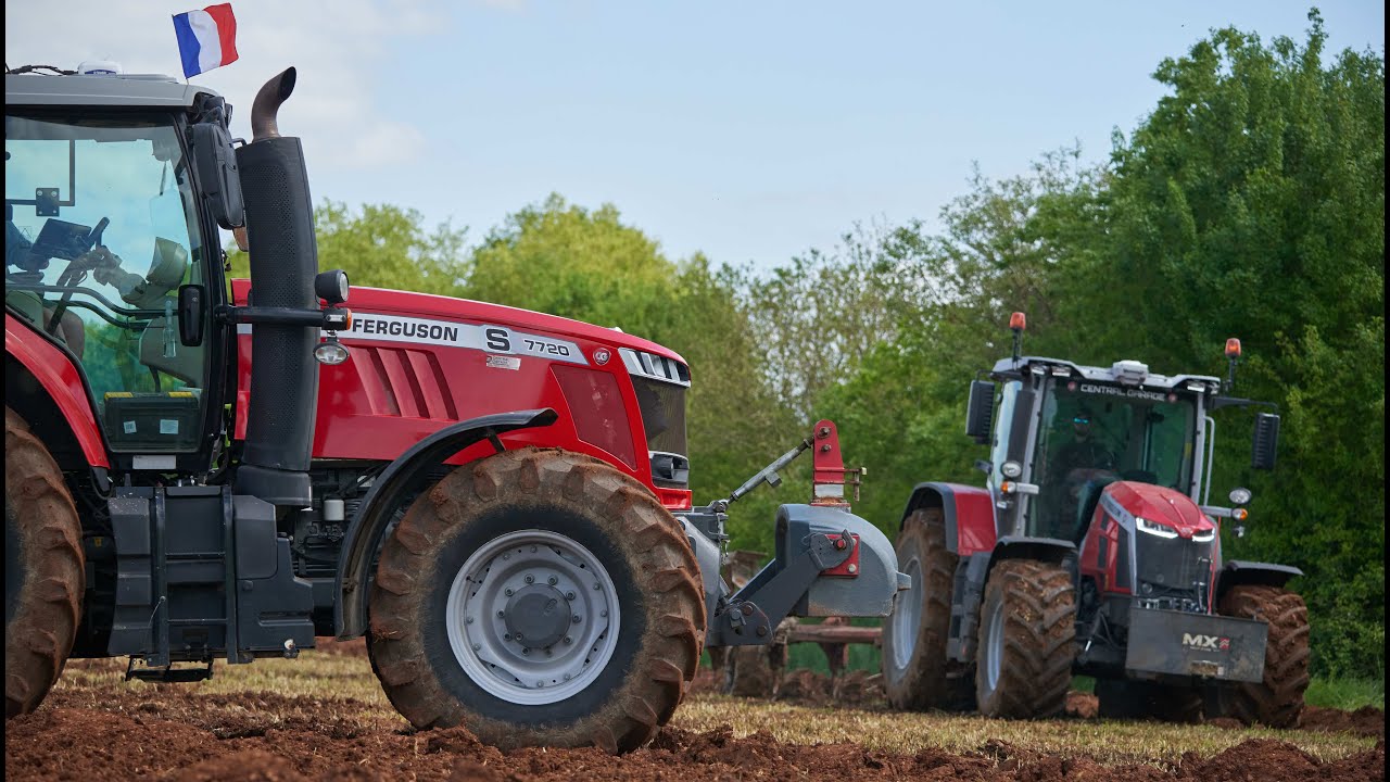 MF 8s 205 et MF 7720 à la prépa des terres à tournesols !