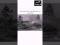 هكذا كان رد دول الحلفاء للاغام النازية  الحرب العالمية الثانية 