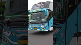Download Lagu BERKAH BERSAUDARA, TELOLET BASURI - Ar Rasyid Handsome #shorts #bismania #teloletbus MP3