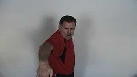 Tech paddle Swimming with techpaddles an EVF Introduction