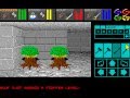 Amiga Longplay Dungeon Master