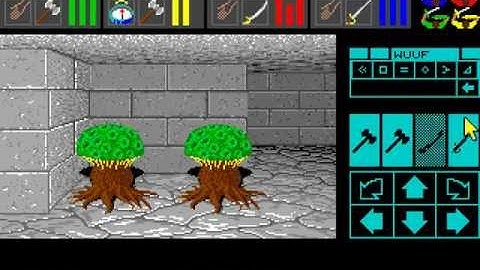 Amiga Longplay Dungeon Master