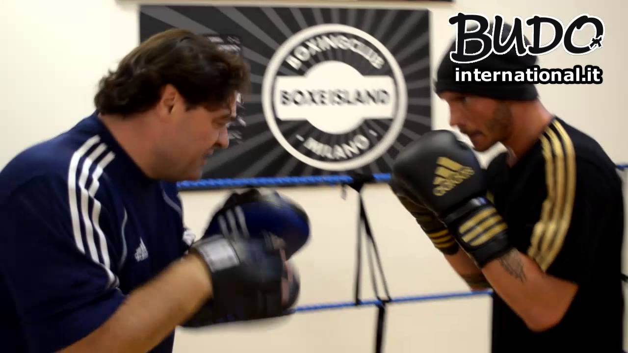 Corde à Sauter En Acier Et PVC - Longueur 280 Cm - Pour Fitness, Boxe, Cardio - Différentes Couleurs Disponibles