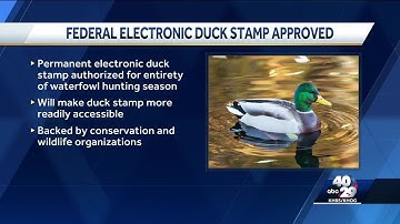 Duck Stamp Modernization Act of 2023 gets signed into law