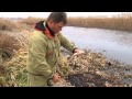 Рыбалка на Деснянских озерах