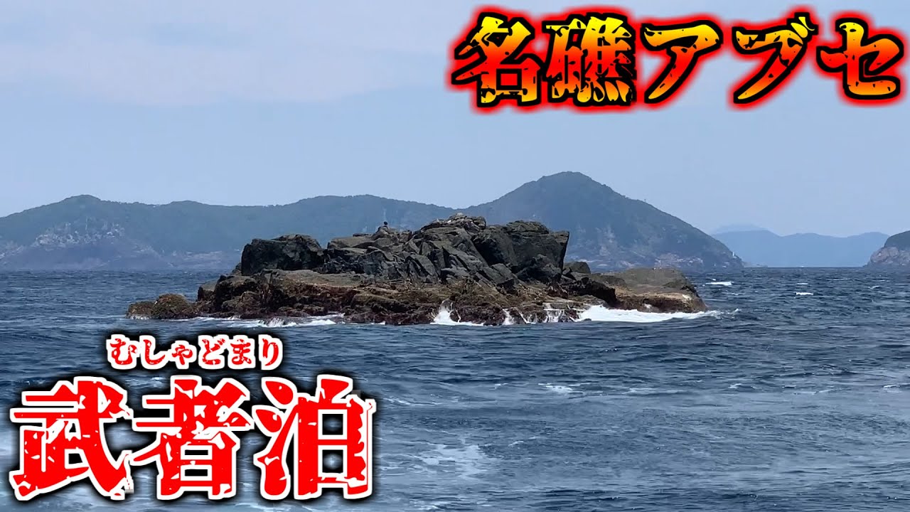 武者泊のA級磯で朝夕通し釣り！！！