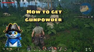 Windrose: How to Get Gunpowder Fast (Beginner Guide)