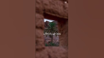 سورة الانسان . من الاية ١٧ الى اية ١٩