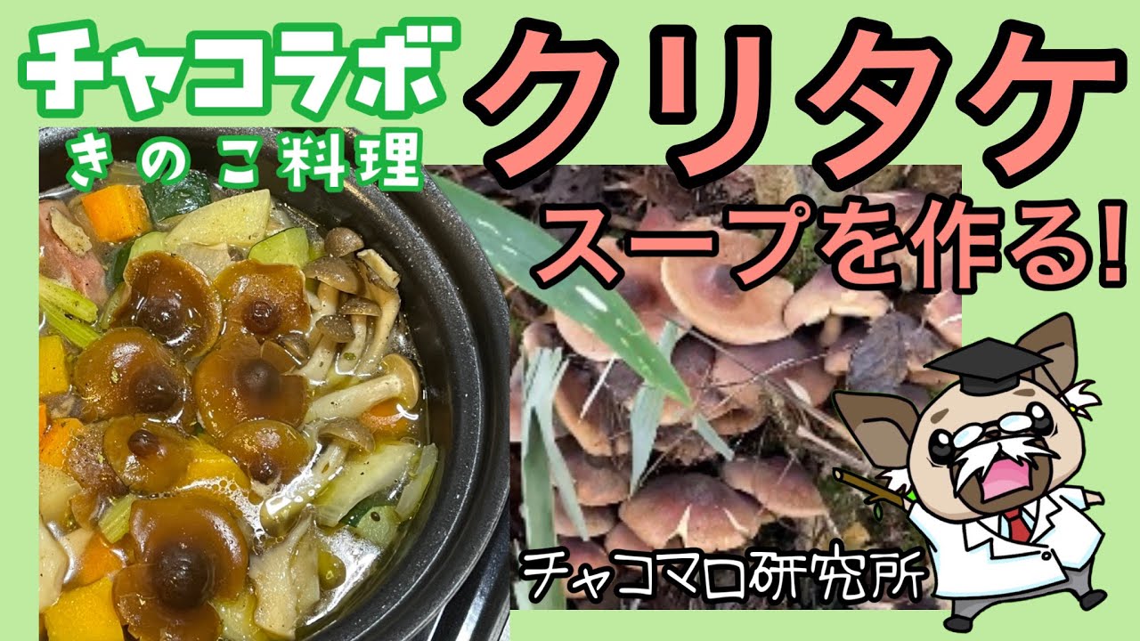 クリタケスープの作り方 天然きのこ料理 Youtube