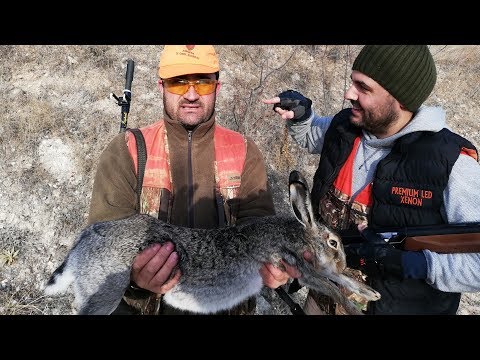 Amasya'da Tavşan Avı ve Tavşanın Yüzülmesi