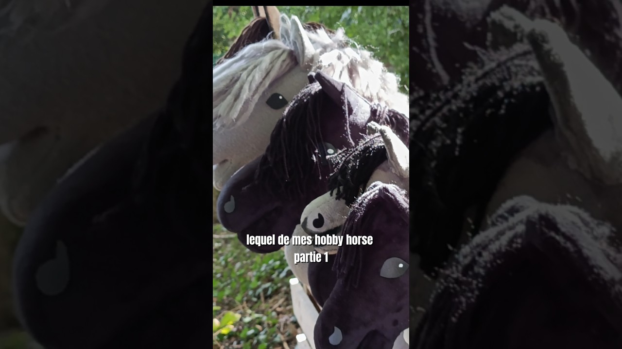 Lequel de me hobby horse ! ✨ 