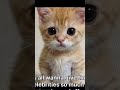Please like abs subscribe please