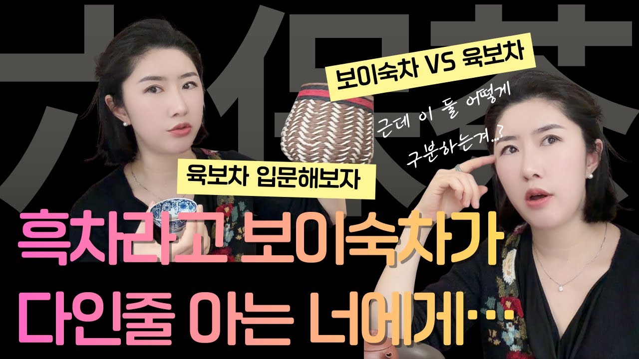 육보차와 보이차 구분해보자. 보이숙차의 세계를 떠나 더 넓은 흑차의 세계로....