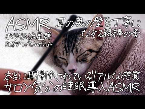 [ASMR] 耳の壁を丁寧になぞる綿棒耳かき-片耳ずつ-｜本当に耳掃除されているリアルな感覚 #02 [声なし/No Talking]