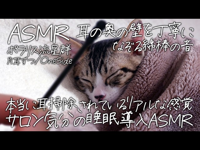 [ASMR] 耳の壁を丁寧になぞる綿棒耳かき-片耳ずつ-｜本当に耳掃除されているリアルな感覚 #02 [声なし/No Talking]