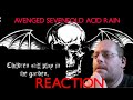 Avenged Sevenfold - Acid Rain Reaction