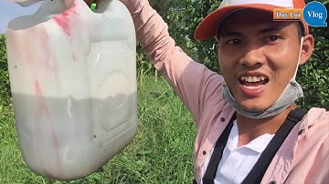 Móc lỗ kênh lục bình câu cá tra, cá rô | fishing | Duy Lợi Vlog