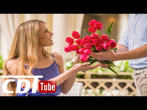 Vidéo: Quelles Roses Sont Appelées Roses De Thé