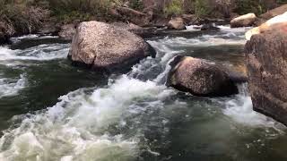 River Rapids on the Taylor River at Lott's Rock Near Almont Colorado