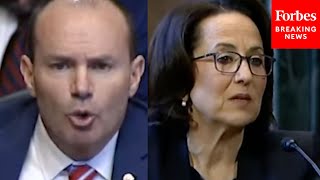 'You Didn't Disclose That To The Committee, Did You?': Mike Lee Brutally Grills Judicial Nominee