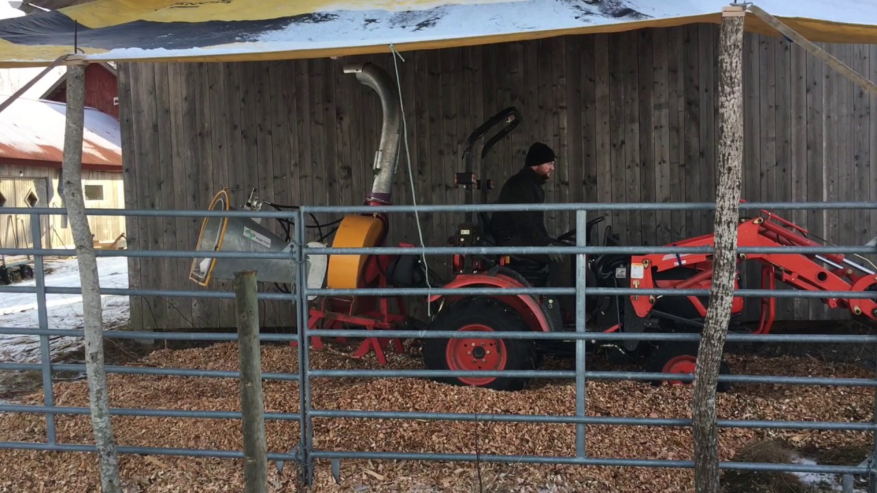 A Diaper For Our Cows YouTube