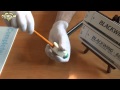 Best Pencil in the World