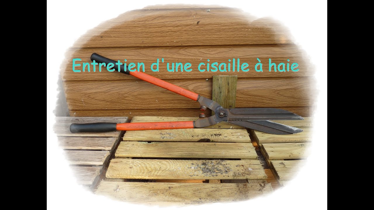 Comment Aiguiser Un Taille haie Manuel Avec Une Pierre