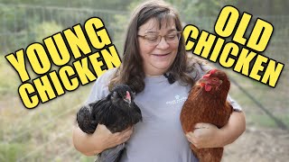 Introducing Young Chickens To An Older Flock: Will It Work?