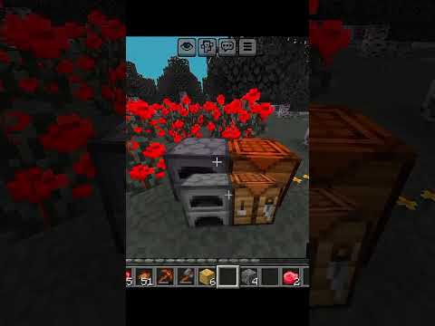 The best Minecraft duo ☠️