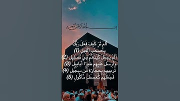 🪷سورة الفيل🪷 #القرآن_الكريم #اكسبلور #الله #تيك_توك #لا_اله_الا_الله #لايك #حالات_واتس #لا