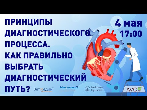 Принципы диагностического процесса (А.Г.Комолов)